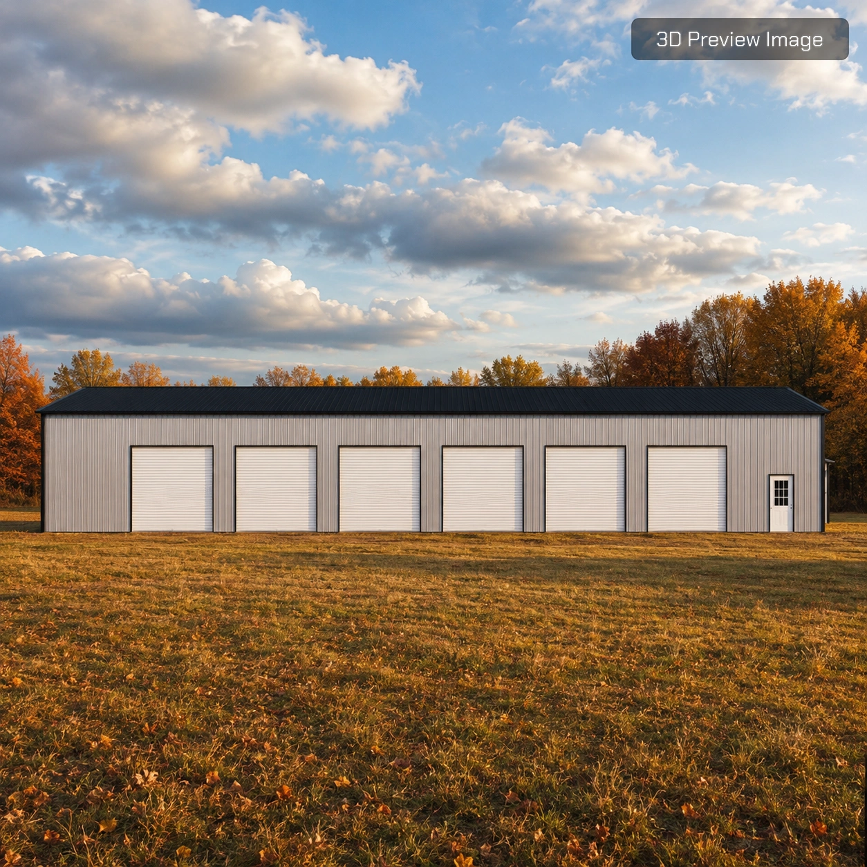 30x100x14 Metal Building Front View
